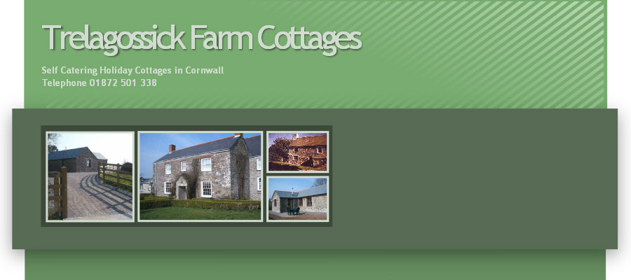 Barn Owl Cottage