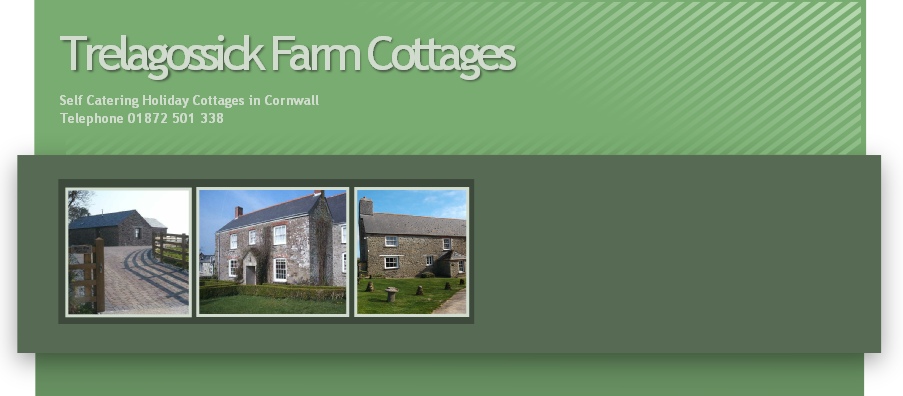 Barn Owl Cottage