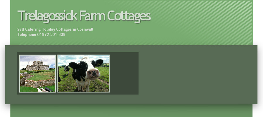 Barn Owl Cottage